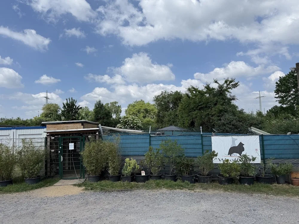 Wooftown Hundetagesstätte Köln - Cologne pet otel