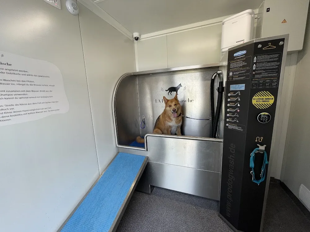 Wooftown Hundetagesstätte Köln - Cologne pet otel görseli 4