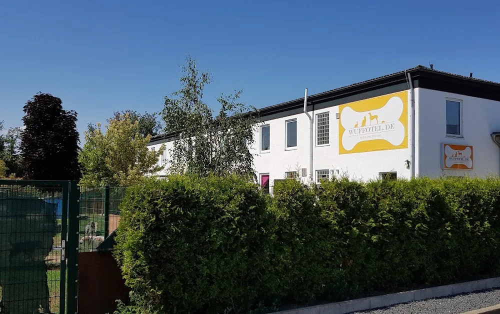 Wuffotel - Tierpension - Hundehotel - Hundesitter - Cologne pet otel görseli 18