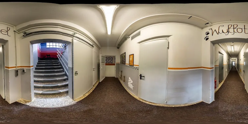 Wuffotel - Tierpension - Hundehotel - Hundesitter - Cologne pet otel görseli 8