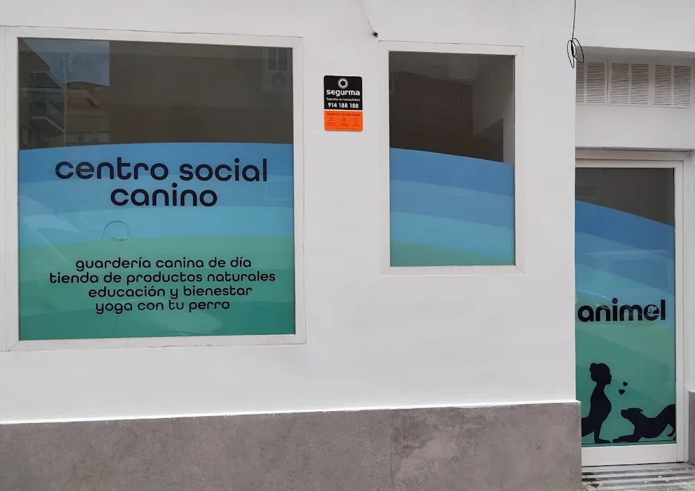 Animel - guardería canina de día - Community of Madrid pet otel