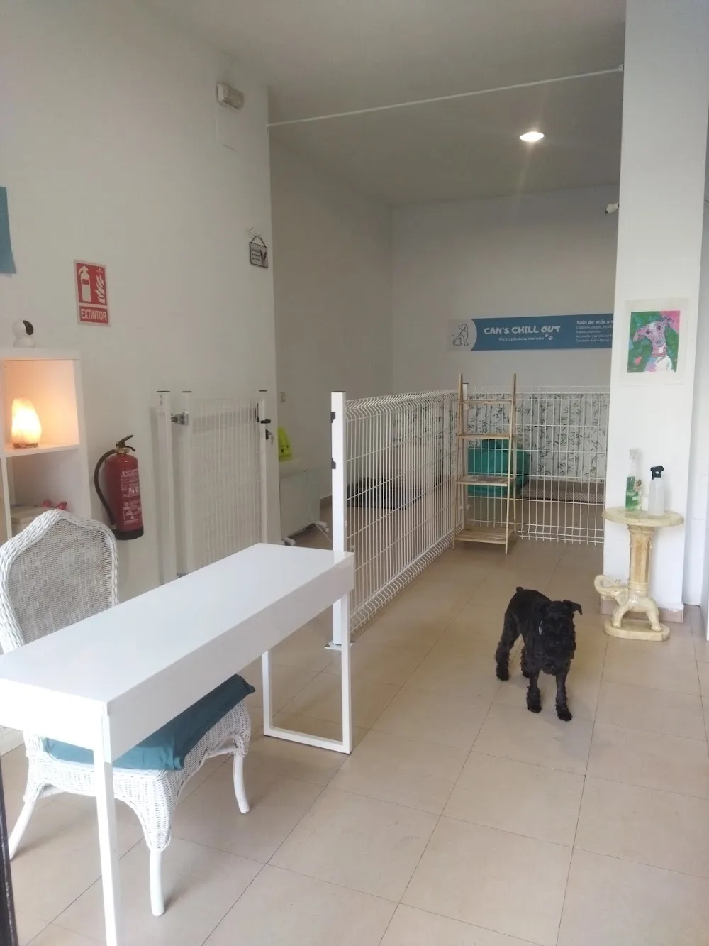Can's Chill Out - Community of Madrid pet otel