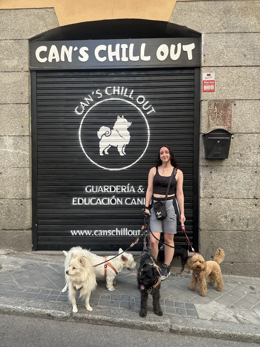 Can's Chill Out - Community of Madrid pet otel görseli 3