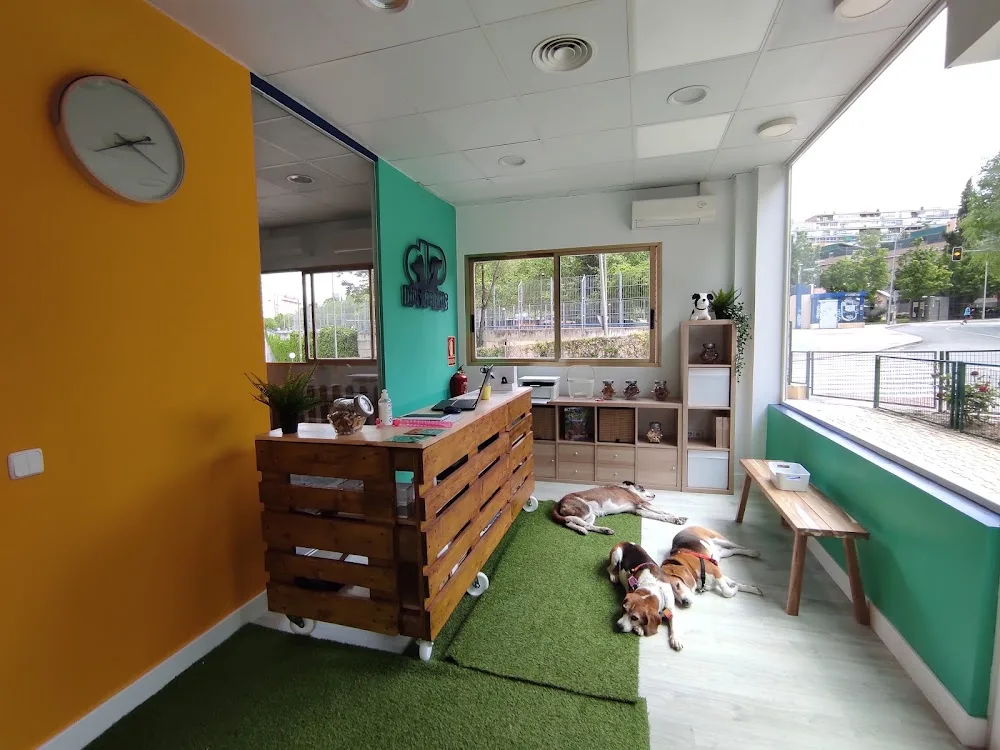 Días Perros - Community of Madrid pet otel