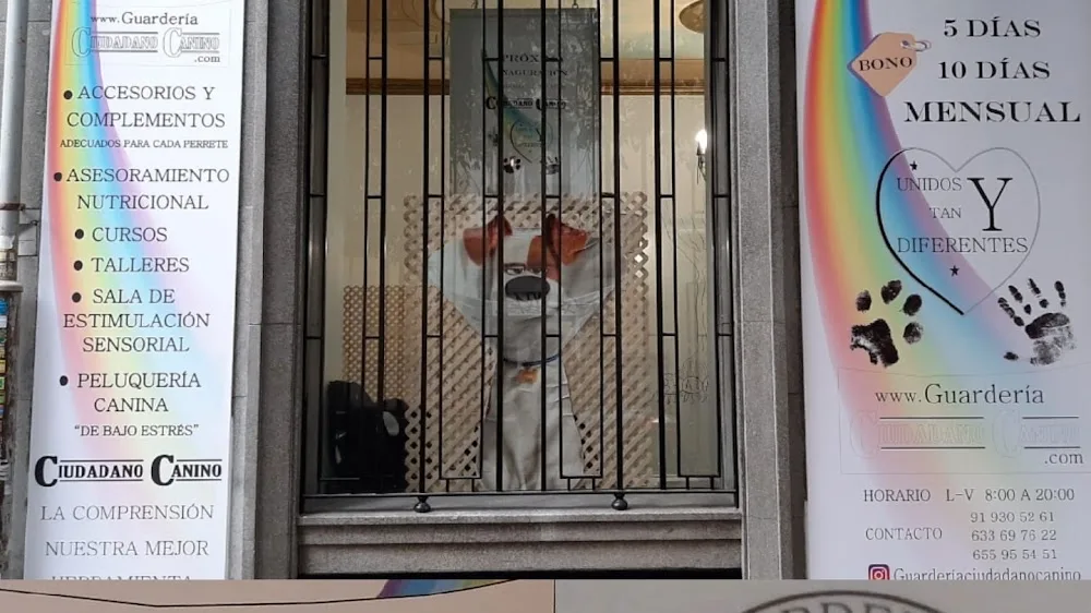 Guarderia ciudadano canino - Community of Madrid pet otel görseli 2