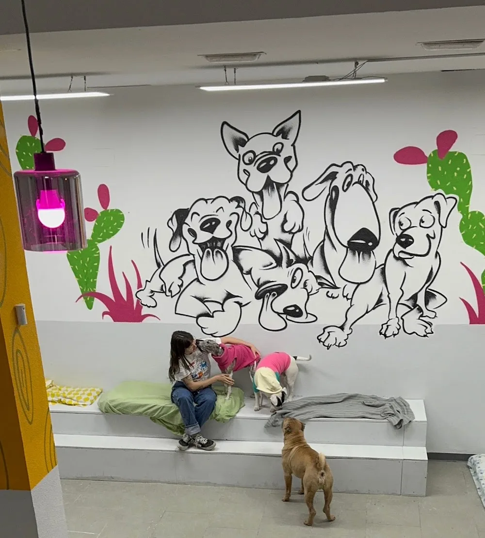 Huellas Amigas - Community of Madrid pet otel görseli 2