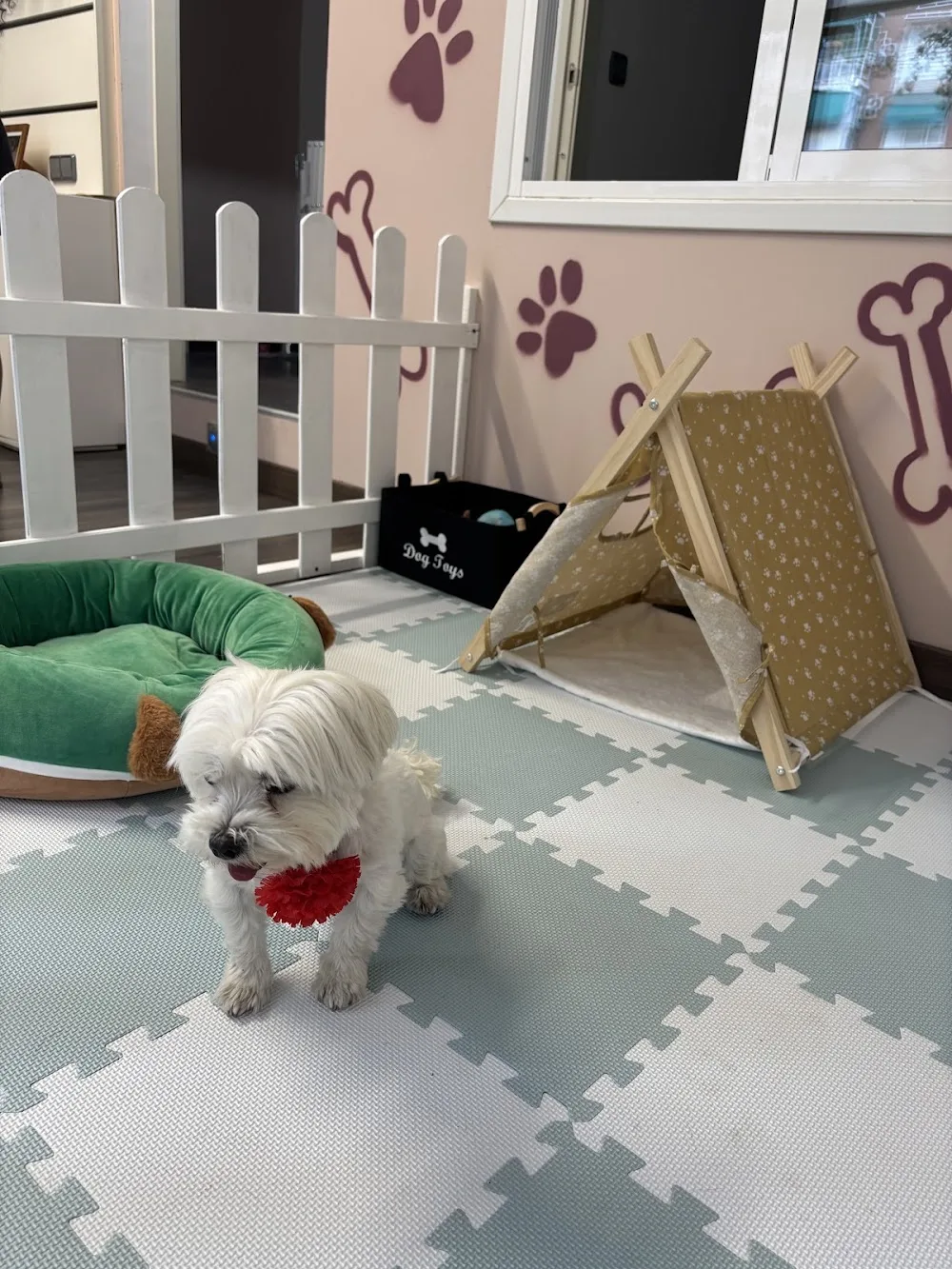 La casita de Simba - Community of Madrid pet otel görseli 2