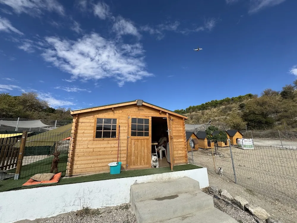 Residencia Canina Central Pets - Community of Madrid pet otel görseli 3
