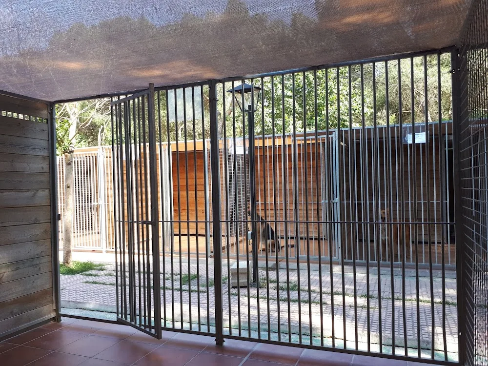Residencia Canina Malilupus - Community of Madrid pet otel görseli 3