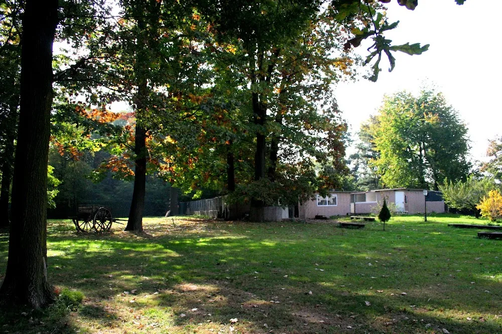 Pensione per cani e gatti Casa Rimoldi Di Rimoldi Elio - Como pet otel