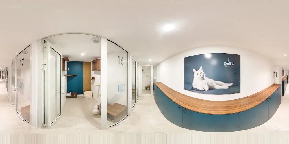 Berlioz Hôtel Félin - Conflans-Sainte-Honorine pet otel görseli 3