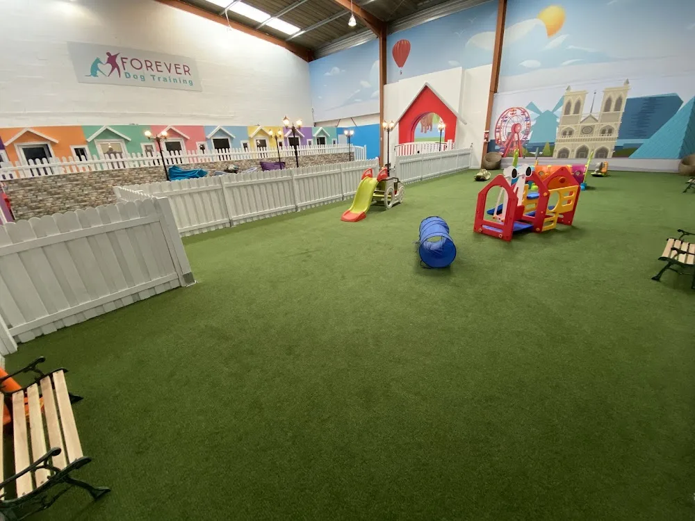 Forever Dog Training - Conflans-Sainte-Honorine pet otel görseli 3