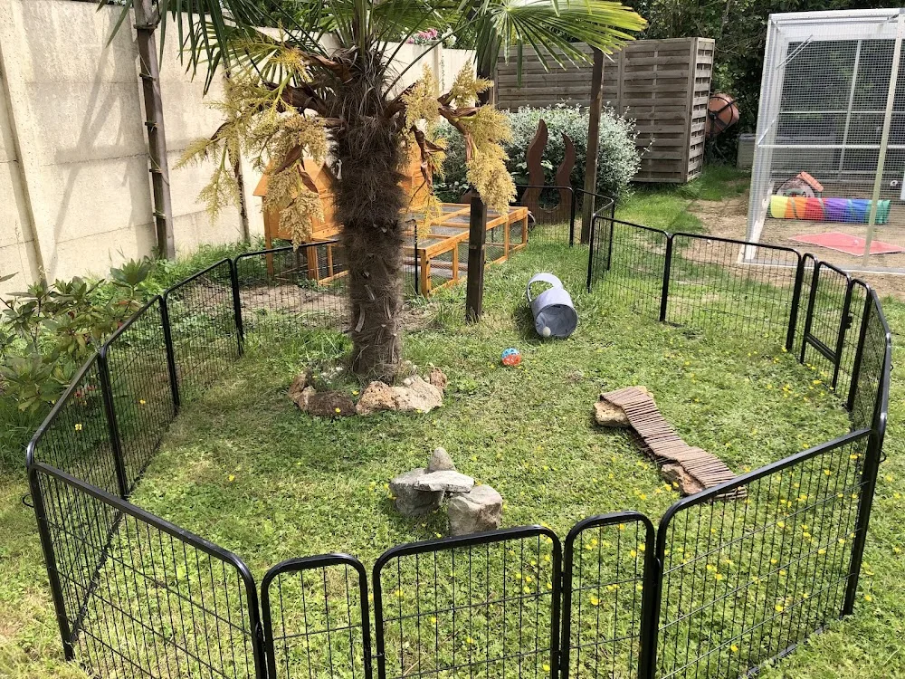 L'arche des ZIM - Pension Animalière Chat et NAC - Conflans-Sainte-Honorine pet otel görseli 3