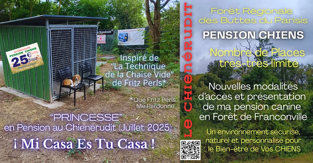 Le Chienérudit - Conflans-Sainte-Honorine pet otel görseli 2