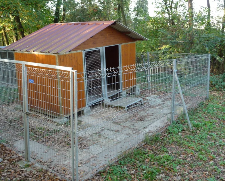 Le Chienérudit - Conflans-Sainte-Honorine pet otel görseli 3