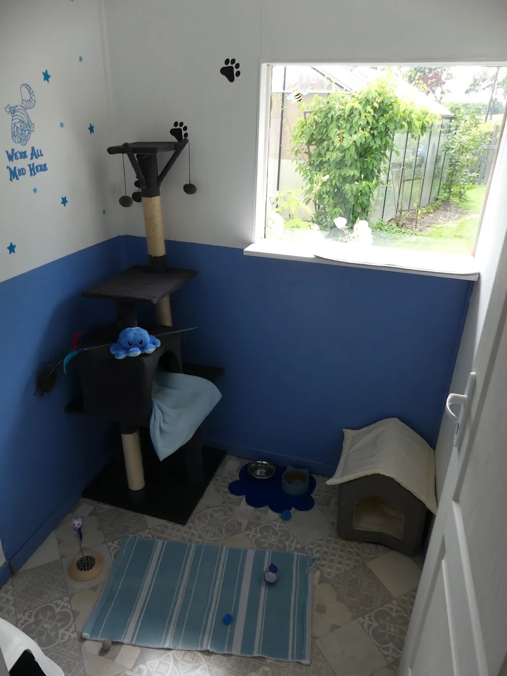 Pension pour Chats - Le monde de Gribouille -76 - Conflans-Sainte-Honorine pet otel