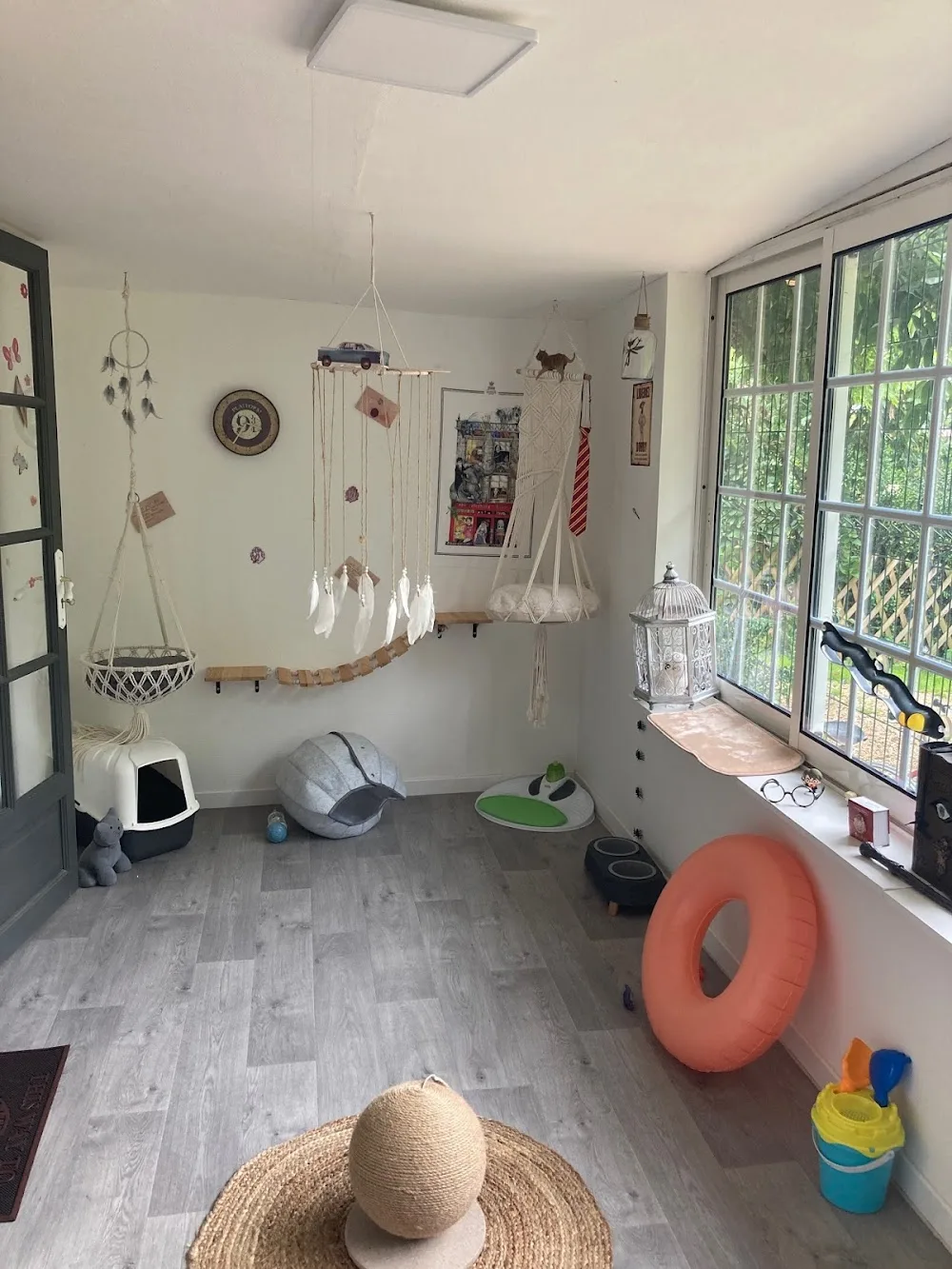 Pension pour Chats - Le monde de Gribouille -76 - Conflans-Sainte-Honorine pet otel görseli 5