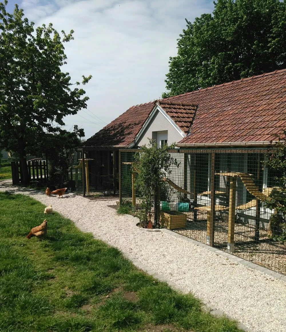 Pet's Home, Pension pour Chats - Conflans-Sainte-Honorine pet otel görseli 2