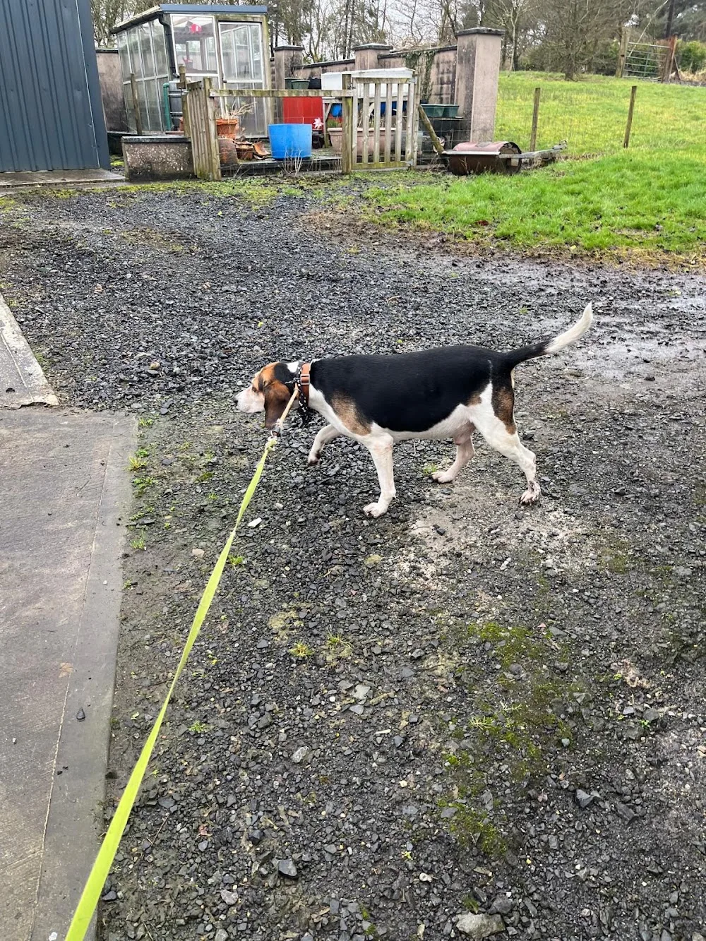 Cnoc na Gaoithe Kennels and Cattery - Connacht pet otel görseli 2