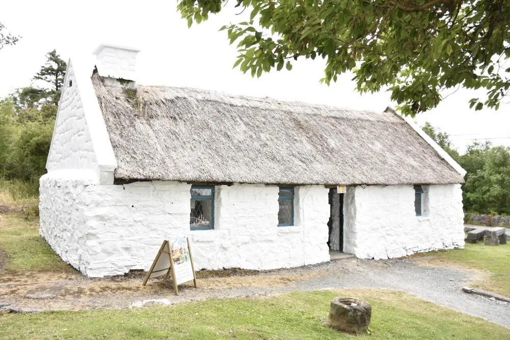 Connolly's Boarding Cattery - Connacht pet otel görseli 11