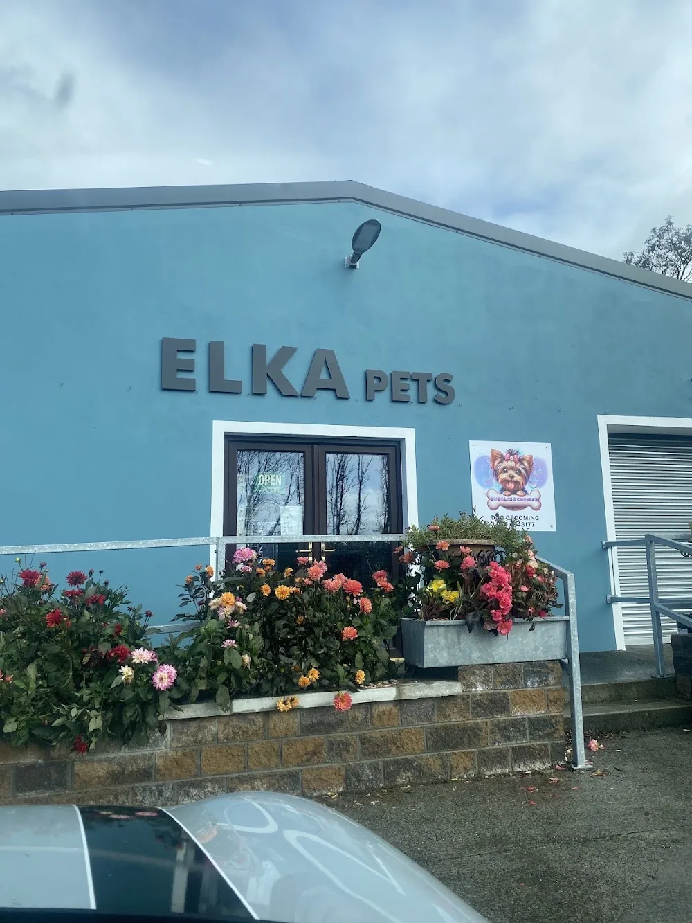 ELKA Boarding Kennels & Grooming Services - Connacht pet otel görseli 2