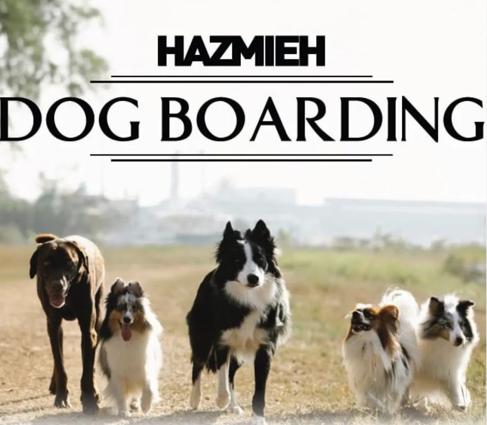 Hazmieh Dog Boarding - Connacht pet otel görseli 10