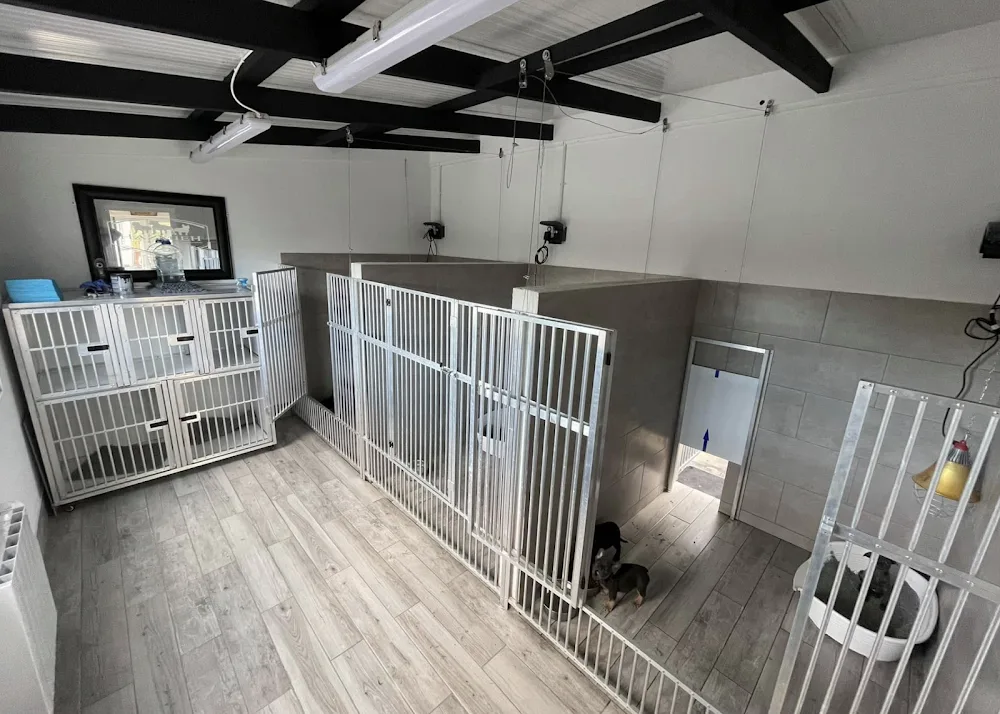 Hazmieh Dog Boarding - Connacht pet otel görseli 11