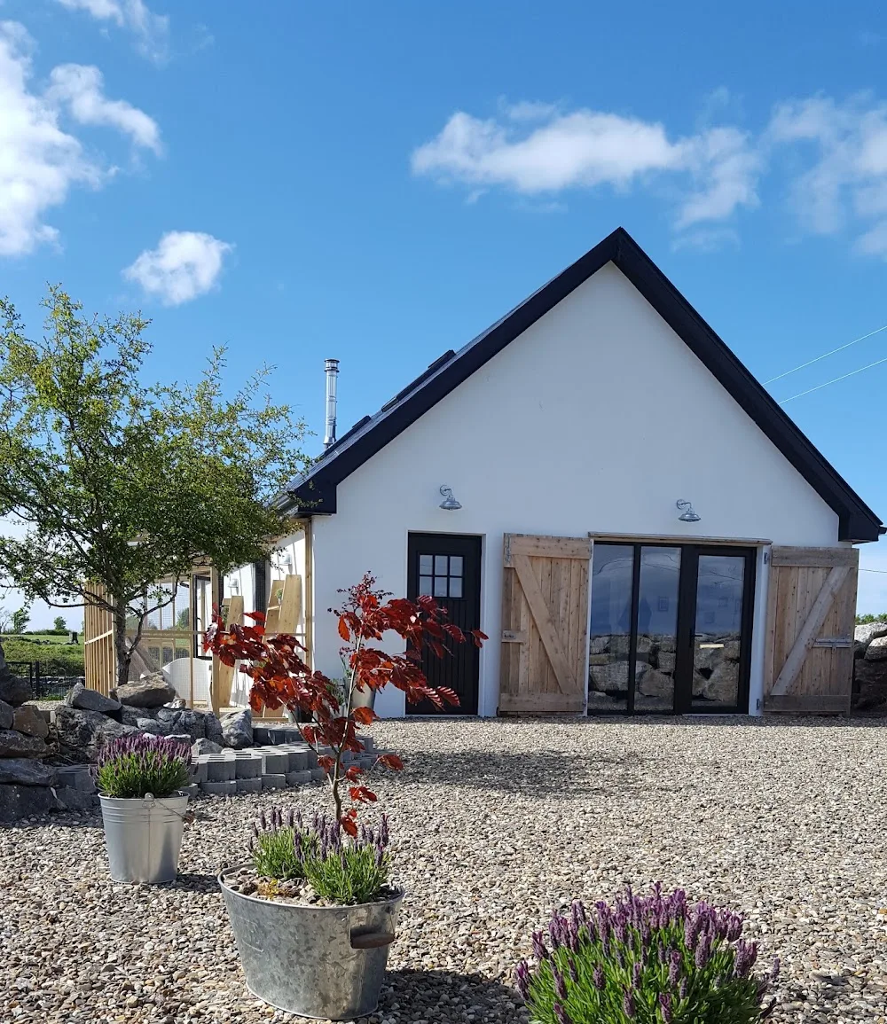 Hillview Cat Lodge - Connacht pet otel görseli 14