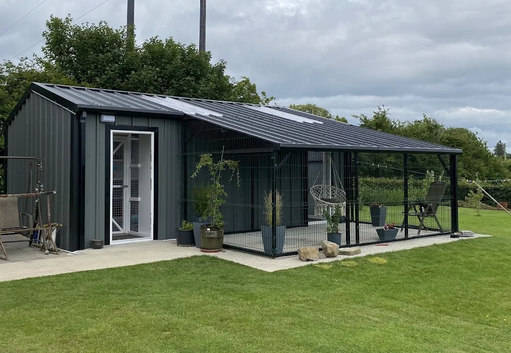 Little Lions Cattery Tubbercurry - Connacht pet otel görseli 2