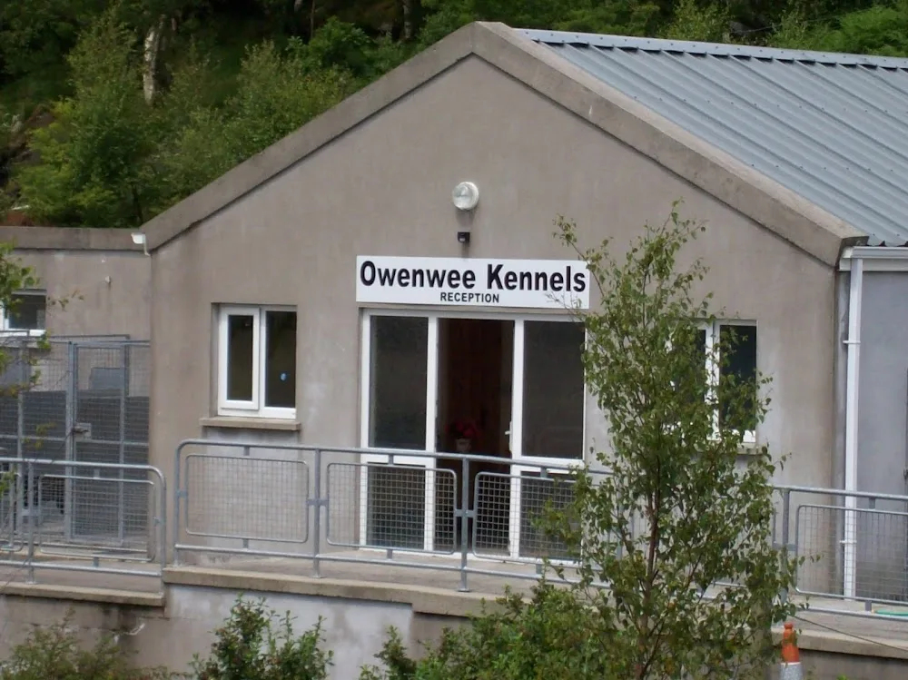 Owenwee Boarding Kennels - Connacht pet otel görseli 7