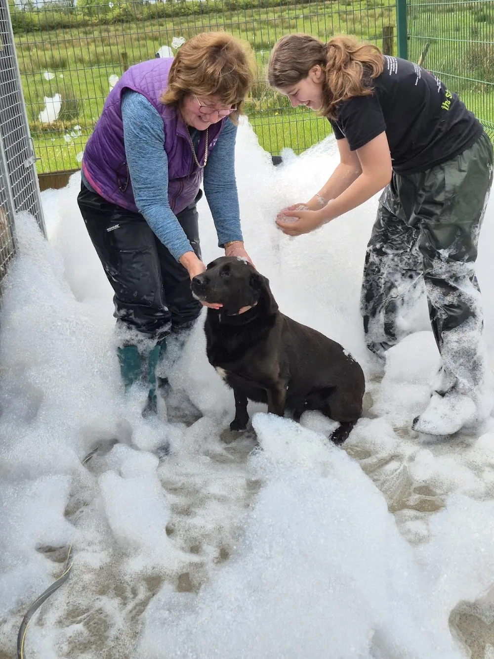 Riverview Boarding Kennels and Cattery - Connacht pet otel görseli 6