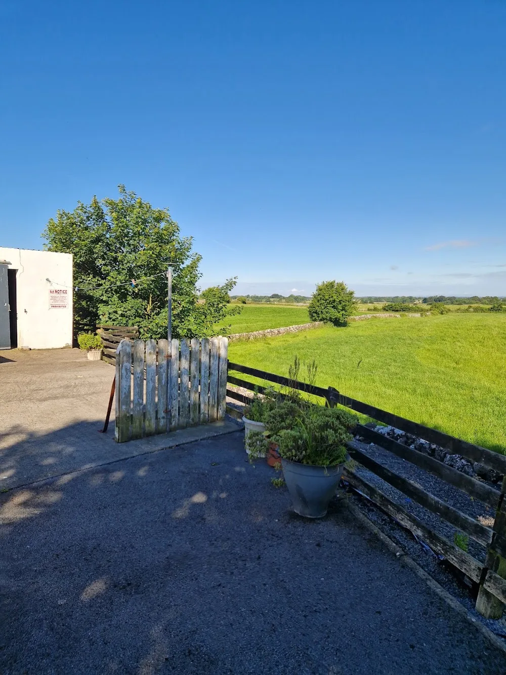 Rooe Kennels - Connacht pet otel görseli 6