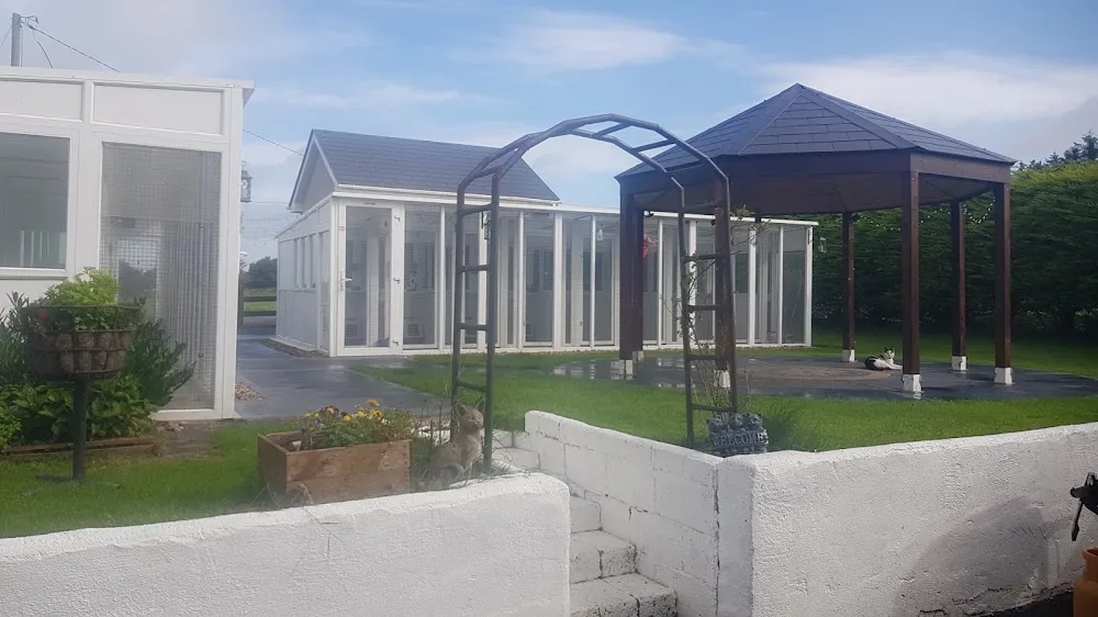 Snuggle Inn Cattery and Professional Cat Grooming Galway - Connacht pet otel görseli 7