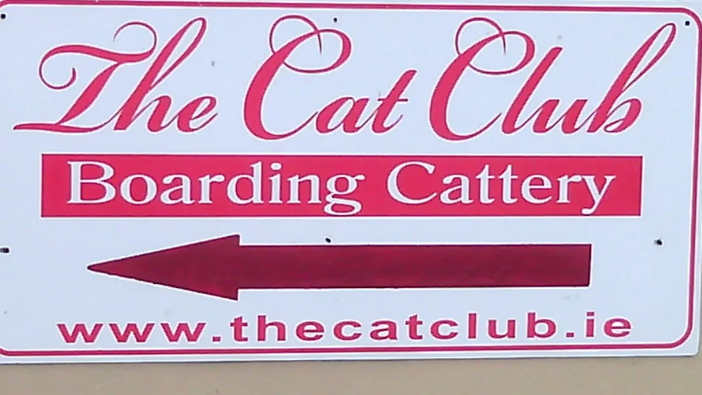 The Cat Club Boarding Cattery - Connacht pet otel görseli 3