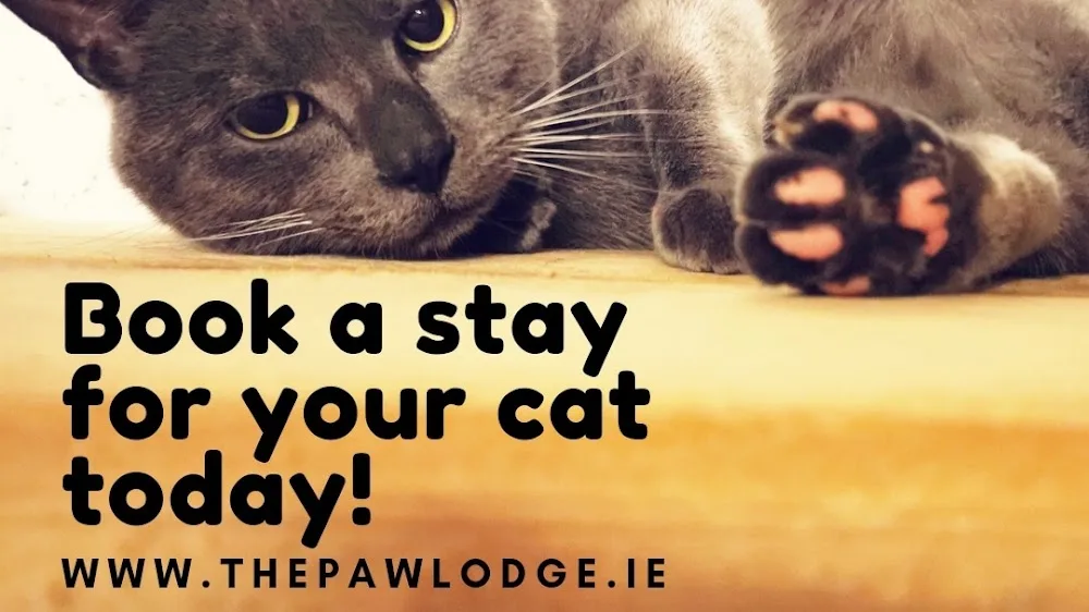 The Paw Lodge Cattery - Connacht pet otel