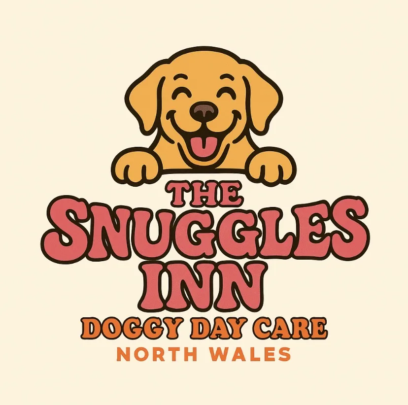 Snuggles Inn Doggy Day Care and boarding - Conwy pet otel
