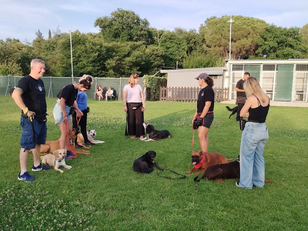 Tranakas dog training lab + dog hotel Corfu - Corfu pet otel