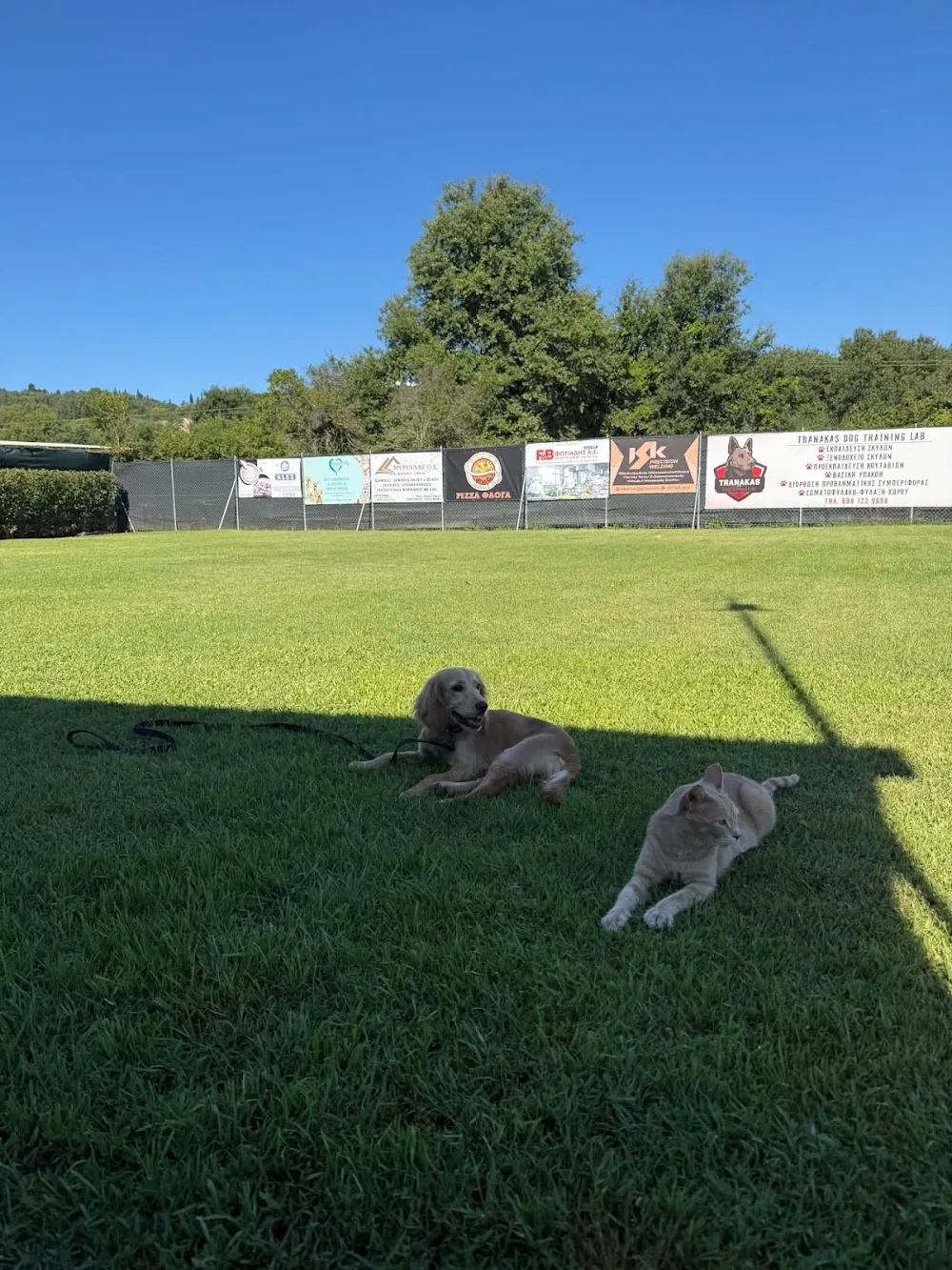 Tranakas dog training lab + dog hotel Corfu - Corfu pet otel görseli 3
