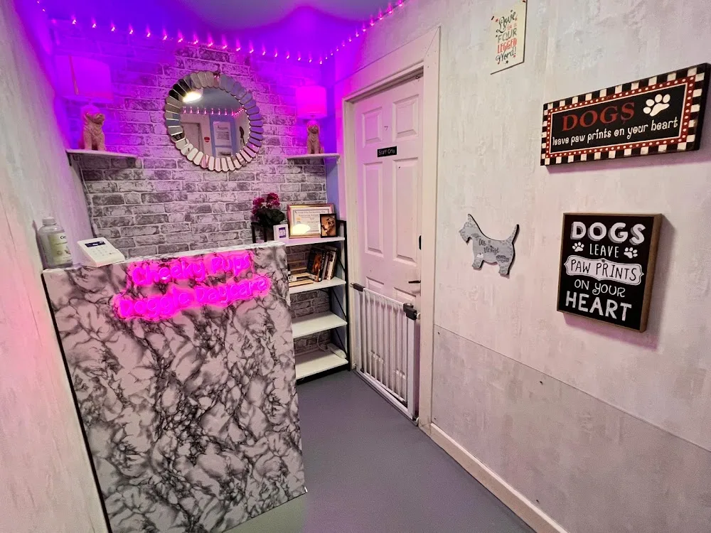 Declan's Cheeky Pups Dog Grooming & Doggie Daycare - Cork pet otel görseli 3