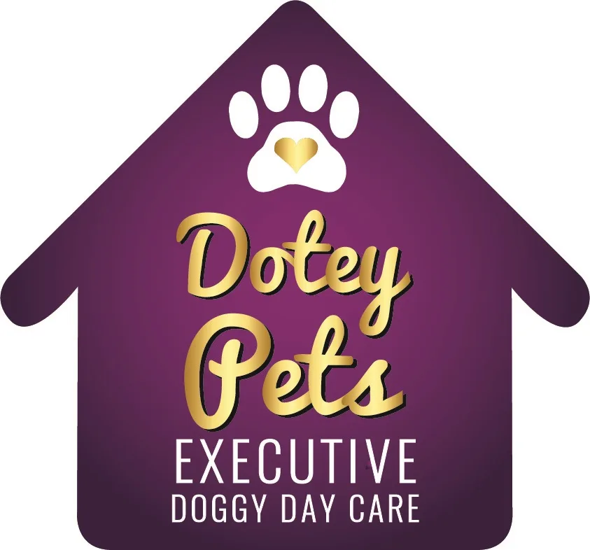 Dotey Pets Executive Doggy Day Care - Cork pet otel