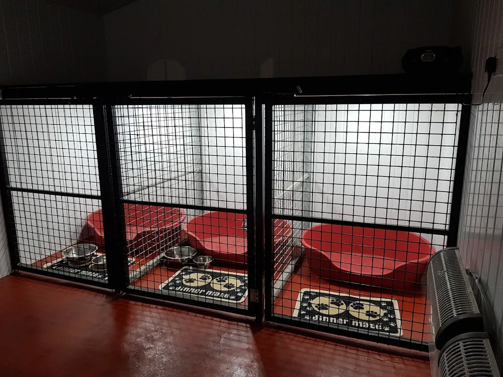 Dusty's Dog Grooming - Cork pet otel görseli 3