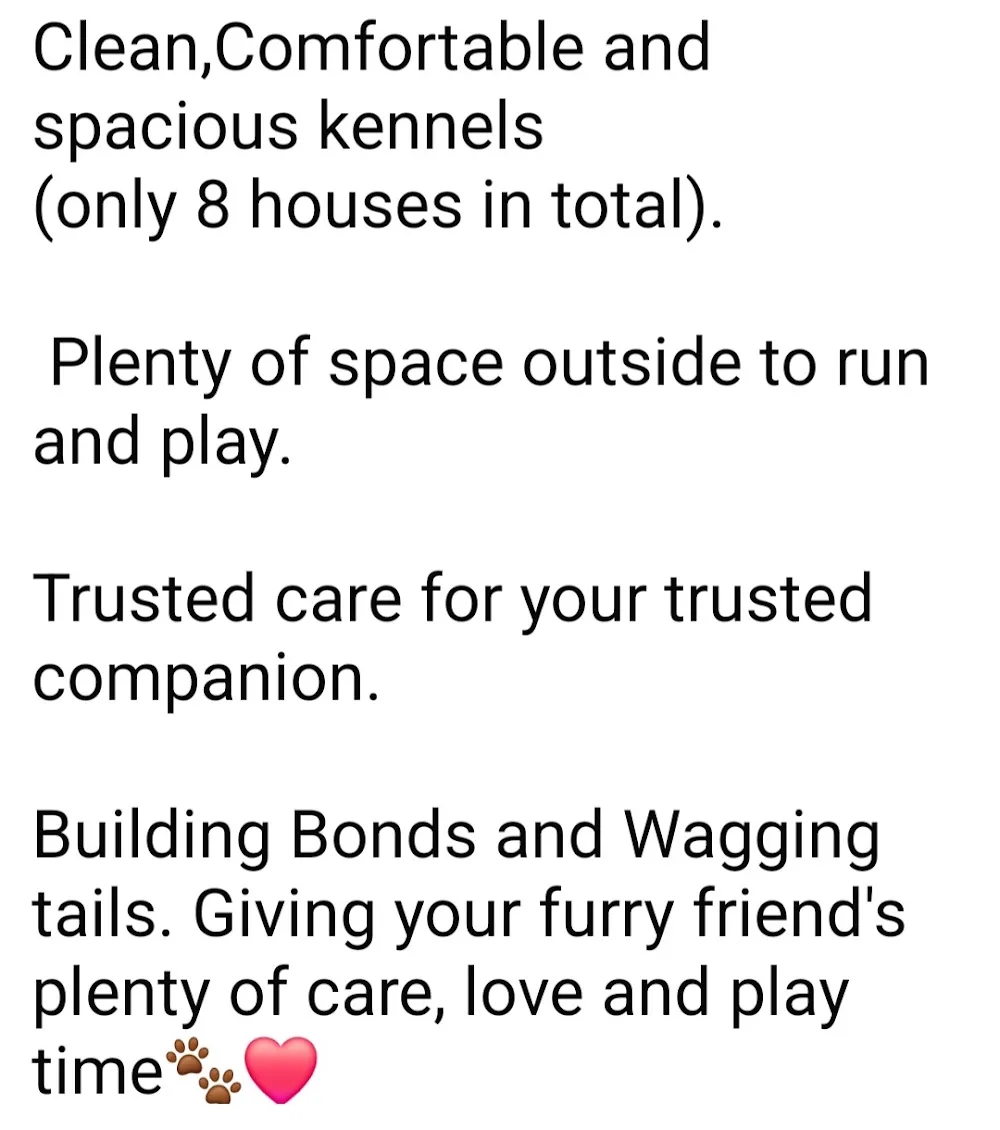 Rosie's Doggy Kennels - Cork pet otel görseli 2
