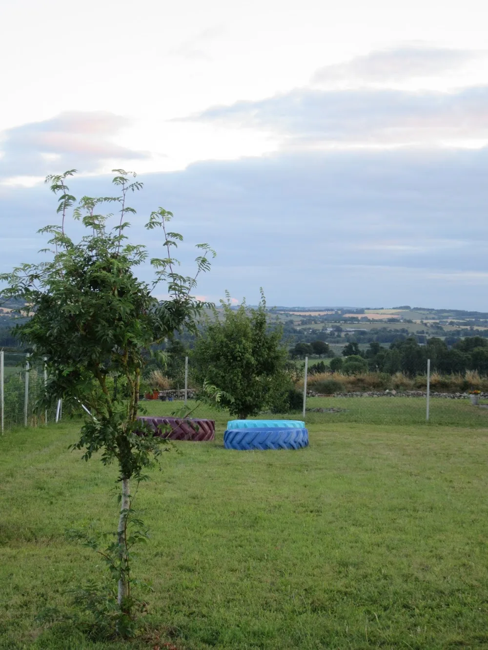 Tall Tails Dog Day Care - Cork pet otel
