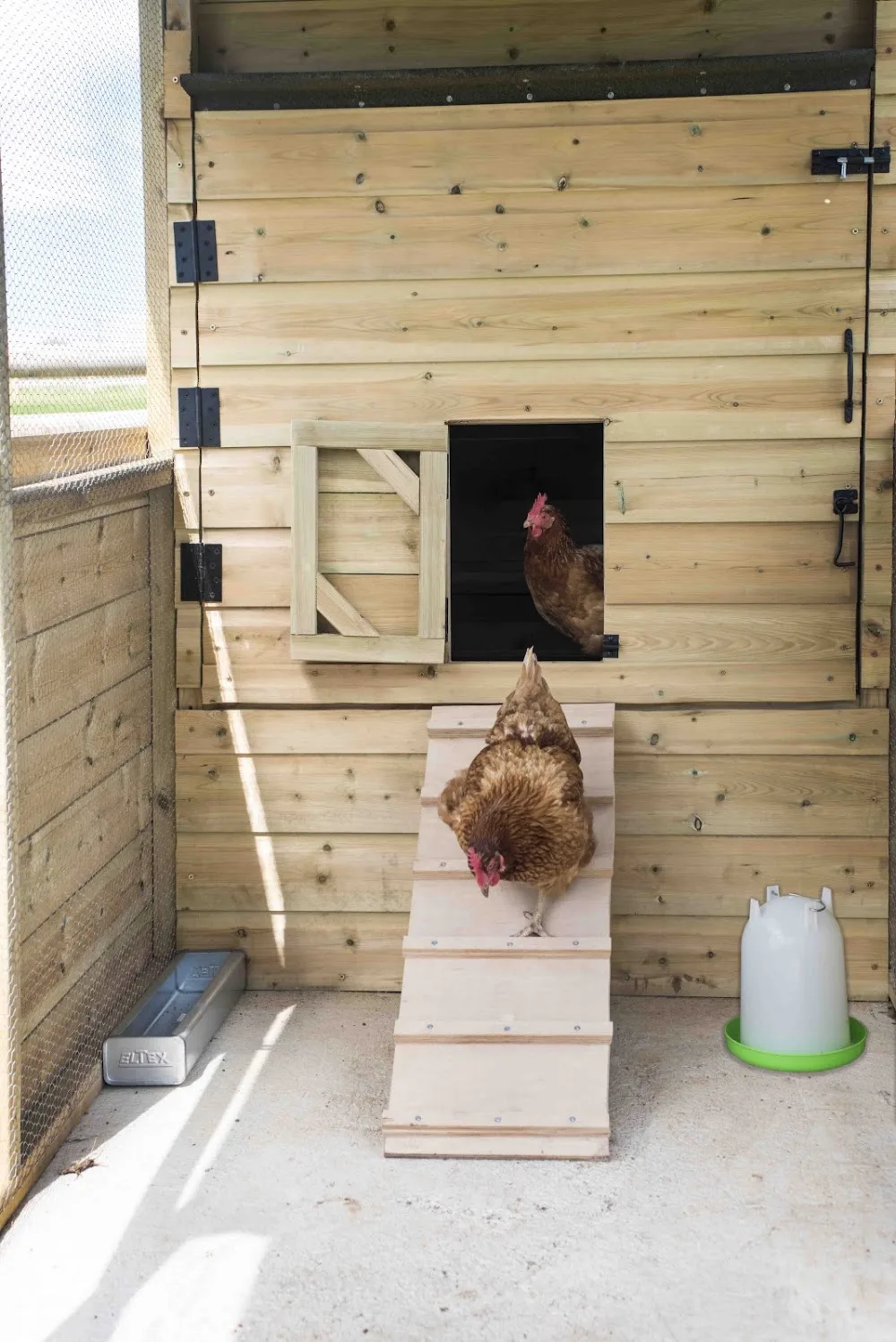 Coombe Small Animal Hotel - Cornwall pet otel görseli 3