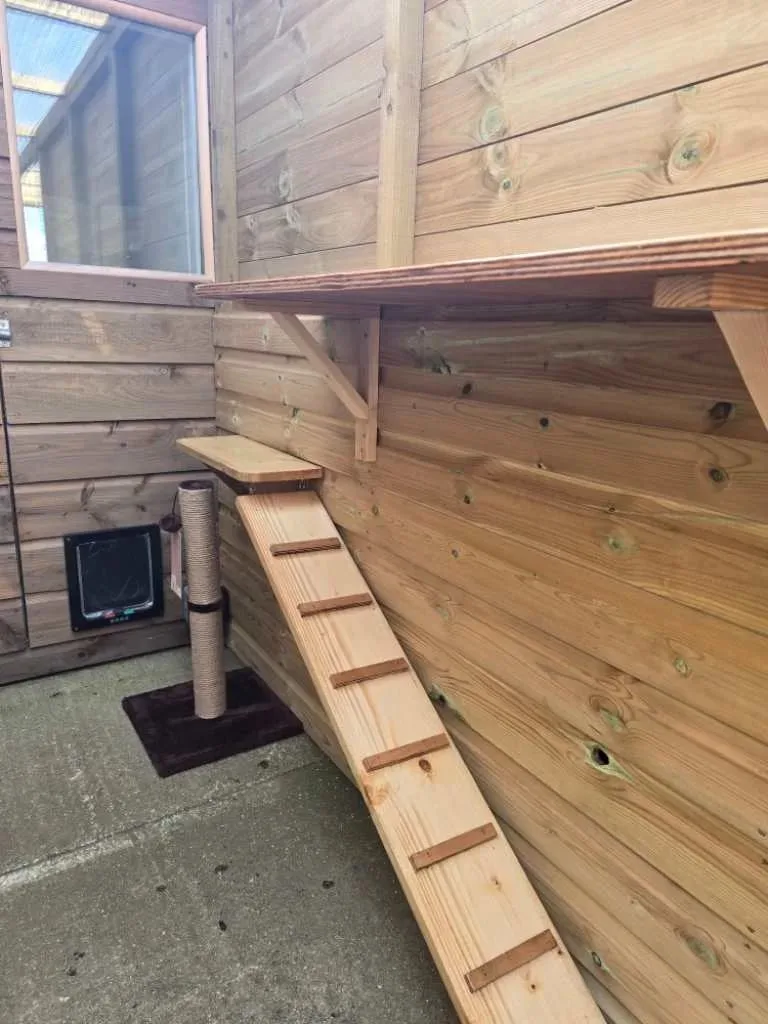 Crestlands Boarding Kennels & Cattery - Cornwall pet otel görseli 3