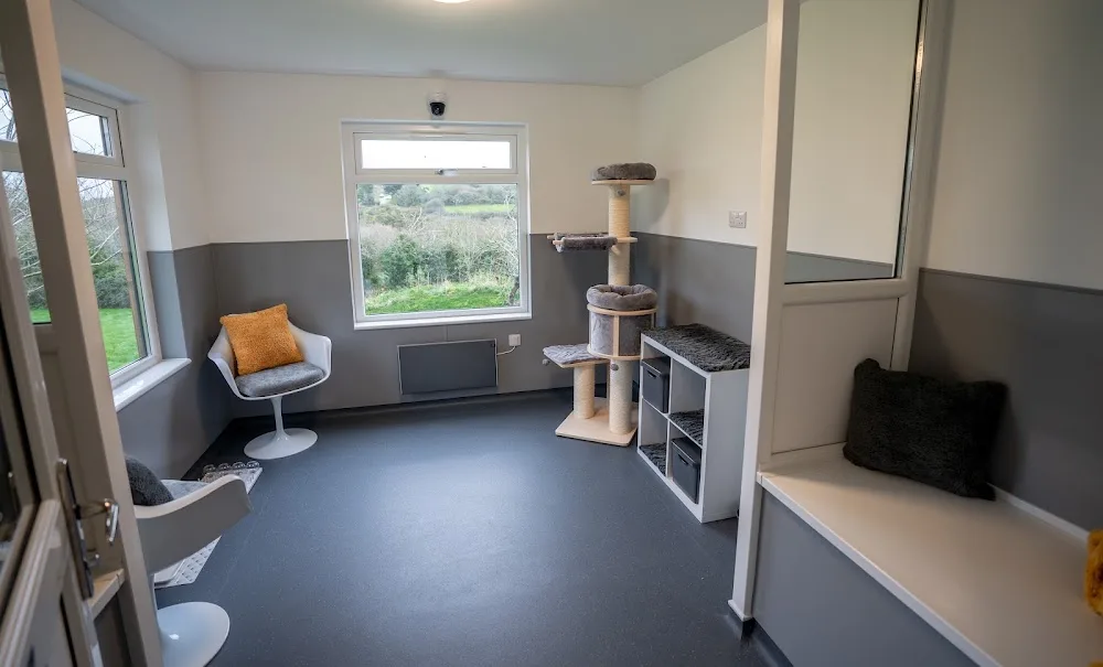 Kernow Cat Hotel - Luxury Cattery - Cattery in Cornwall - Cornwall pet otel görseli 3