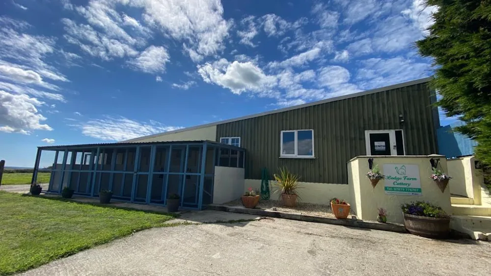 Lodge Farm Cattery - Cornwall pet otel görseli 2