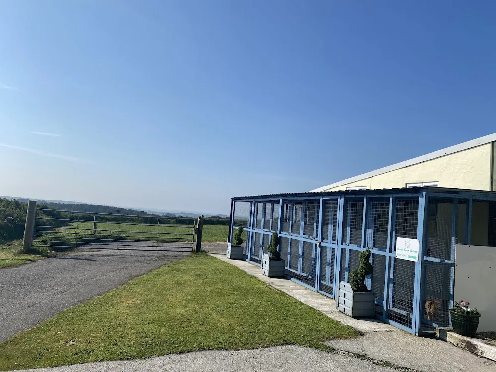 Lodge Farm Cattery - Cornwall pet otel görseli 3