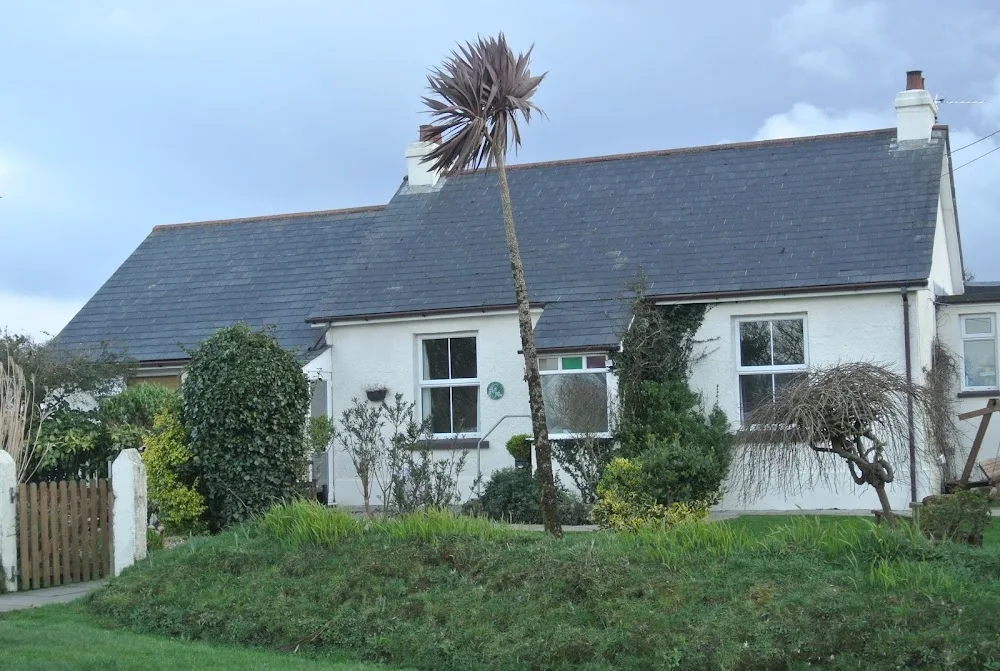 Meadowview Cattery - Cornwall pet otel görseli 3