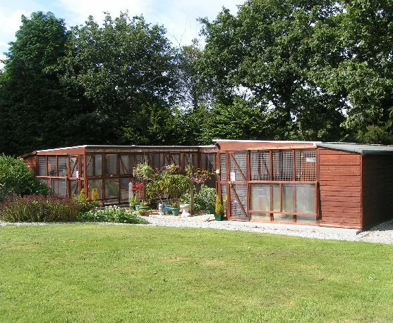 Oaktree Cattery - Cornwall pet otel görseli 2
